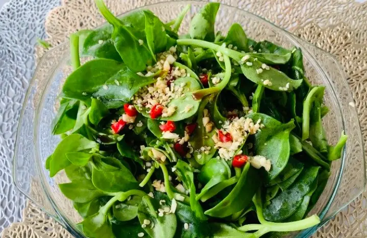 穿心蓮食用方法