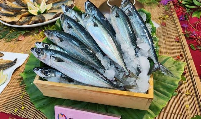 宜蘭漁港購物 宜蘭漁港購物