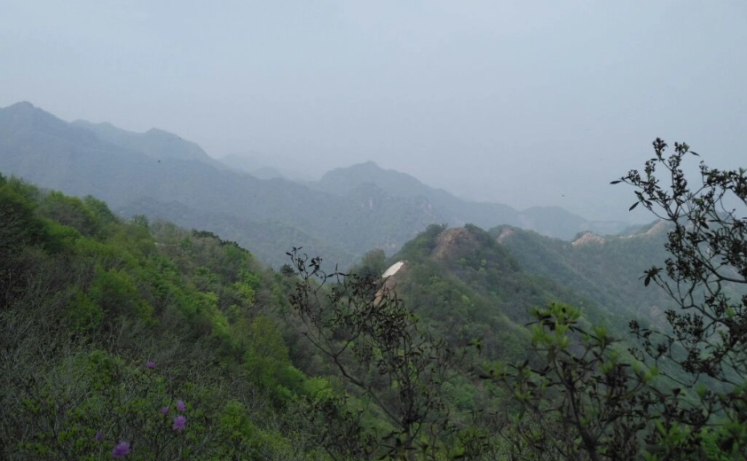 八仙山步道難度 八仙山步道難度