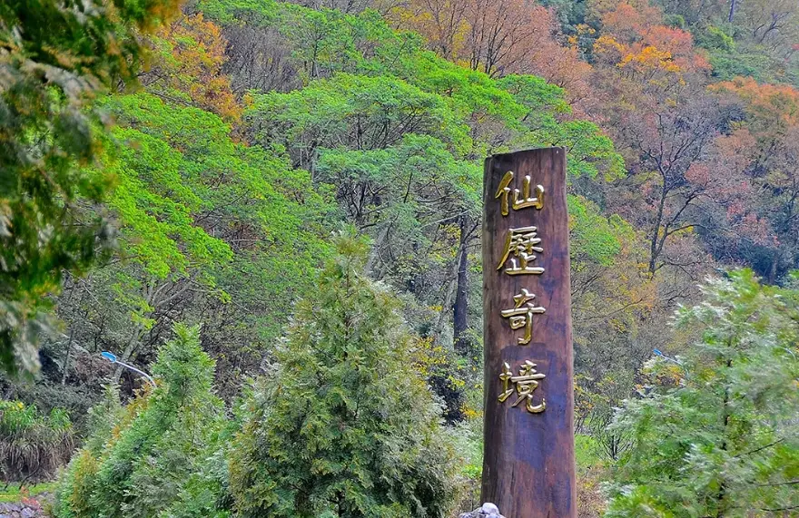 八仙山營業時間 八仙山營業時間
