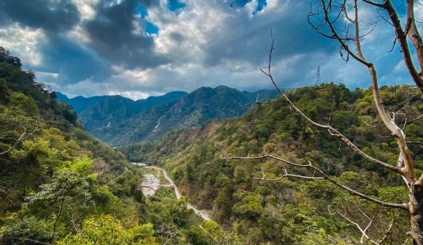 八仙山國家森林遊樂區評論