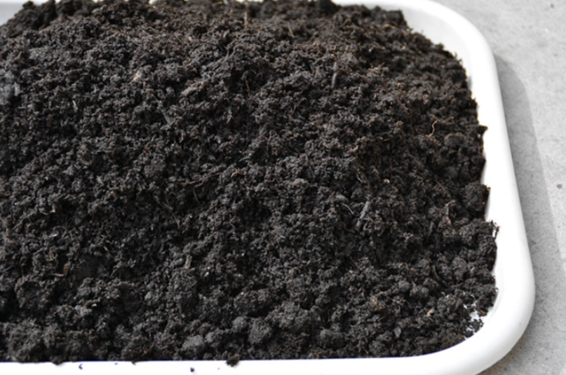 植物介質選擇 植物介質選擇
