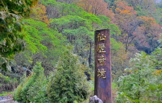 八仙山森林遊樂區評價