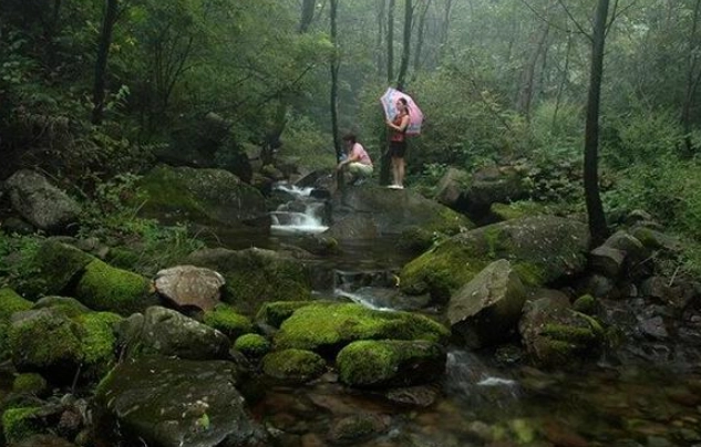 八仙山國家森林遊樂區開放時間 八仙山國家森林遊樂區開放時間
