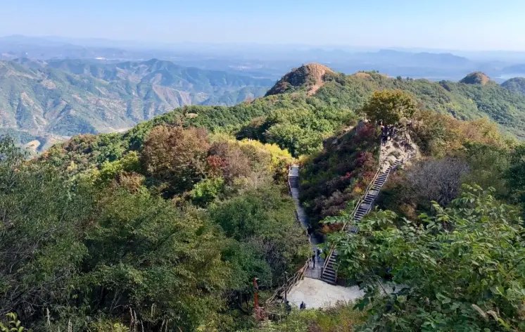 八仙山登山步道 八仙山登山步道
