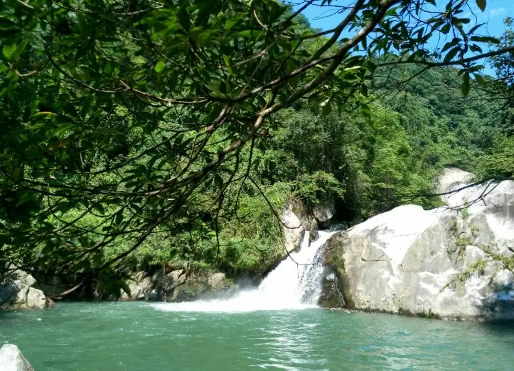 八仙山森林遊樂區氣候