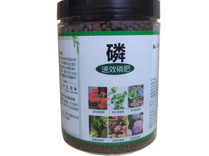 觀葉植物肥料推薦