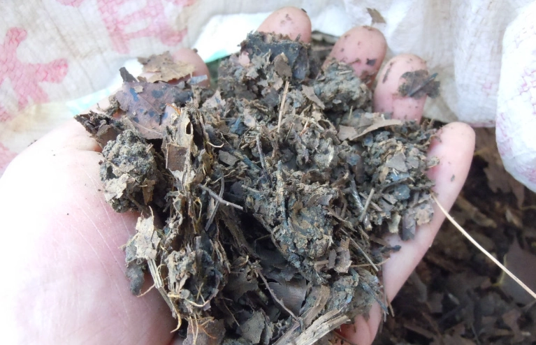 植物介質種類 植物介質種類