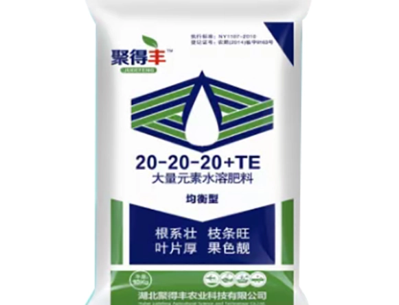 觀葉植物施肥方法