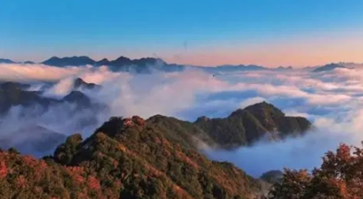 八仙山國家森林遊樂區評論