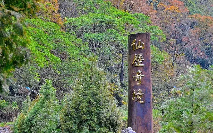 八仙山登山步道 八仙山登山步道