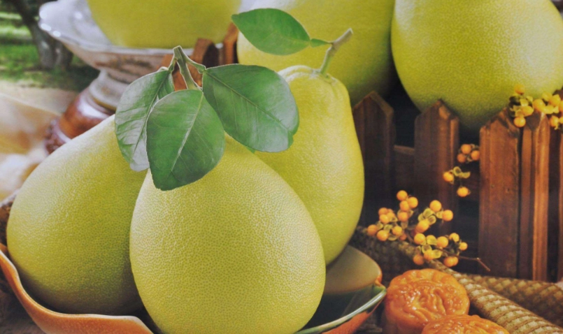 麻豆小吃推薦