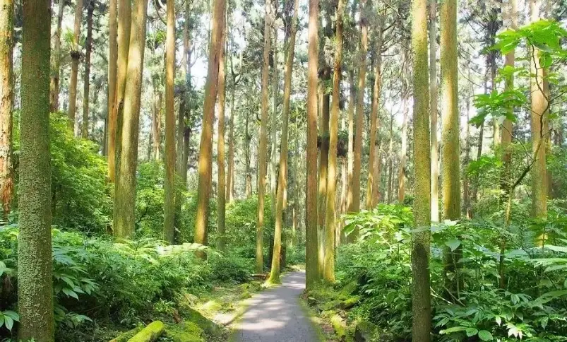 南投自駕一日遊
