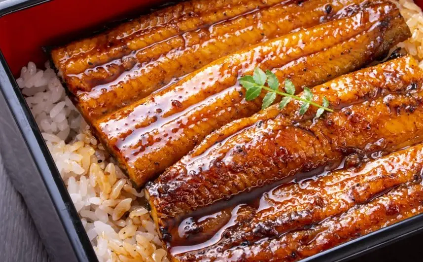 鰻魚食品安全