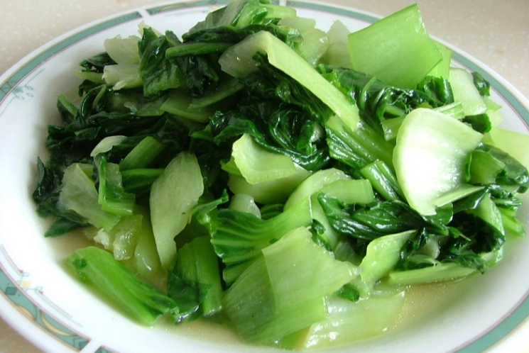 安東食園便當菜單 安東食園便當菜單