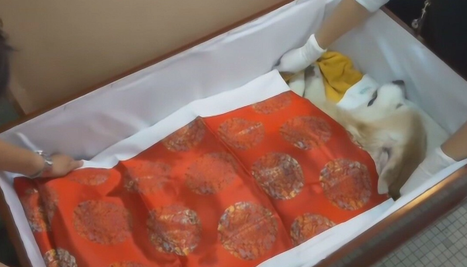 寵物禮儀師培訓