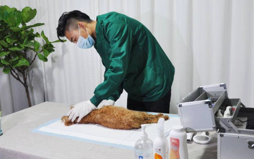 寵物殯葬證照課程 寵物殯葬證照課程