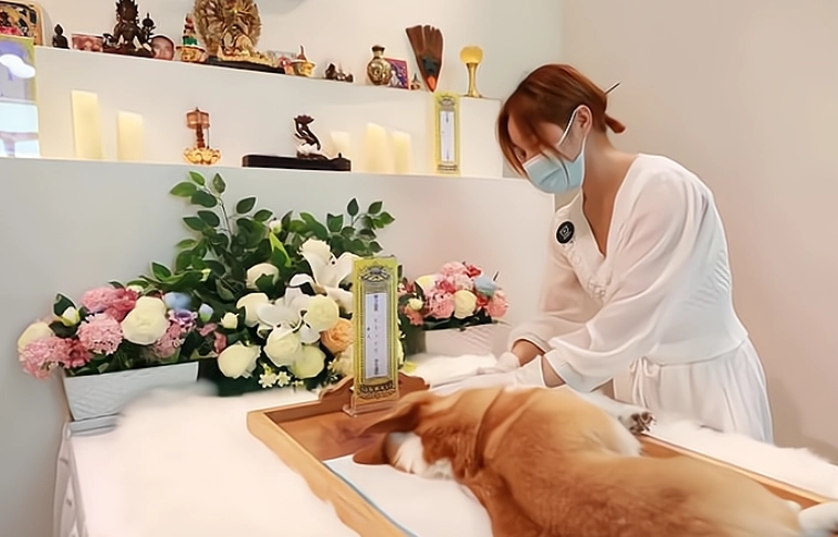 寵物喪禮服務