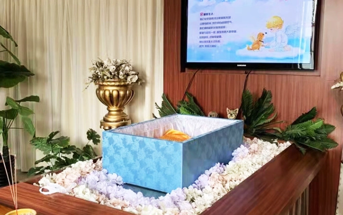 寵物殯葬證照課程 寵物殯葬證照課程