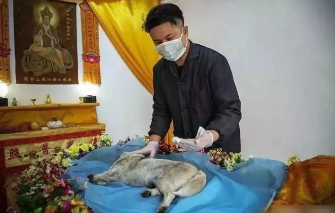 寵物殯葬證照課程 寵物殯葬證照課程