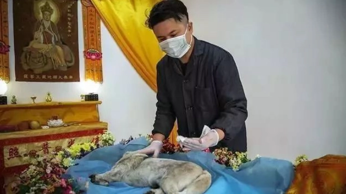 寵物禮儀師培訓