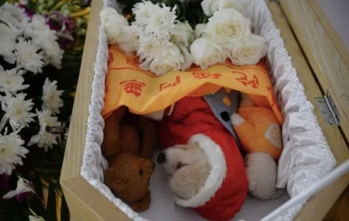 寵物臨終服務薪資 寵物臨終服務薪資