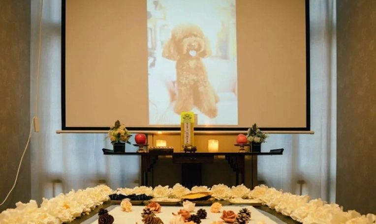 寵物臨終服務薪資 寵物臨終服務薪資