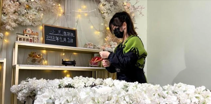 動物安寧照顧師收入 動物安寧照顧師收入