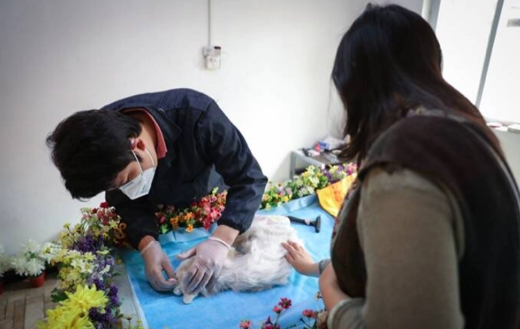 寵物禮儀師培訓