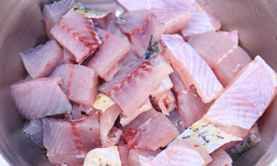 比熊狗糧推薦 比熊狗糧推薦