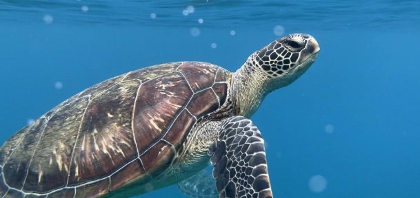 秘境旅遊 秘境旅遊