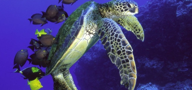 秘境旅遊 秘境旅遊