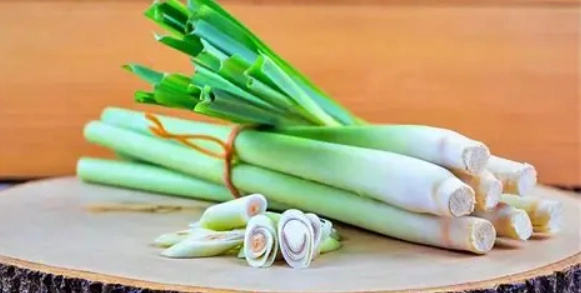 天然驅壁虎方法 天然驅壁虎方法