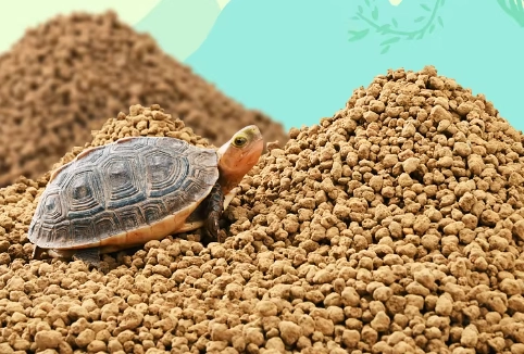 赤玉土養陸龜終極指南：優缺點分析、實操步驟與常見誤區破解