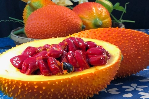 陸龜水果清單 陸龜水果清單