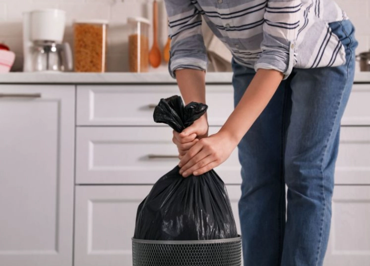 老鼠屍體臭味處理