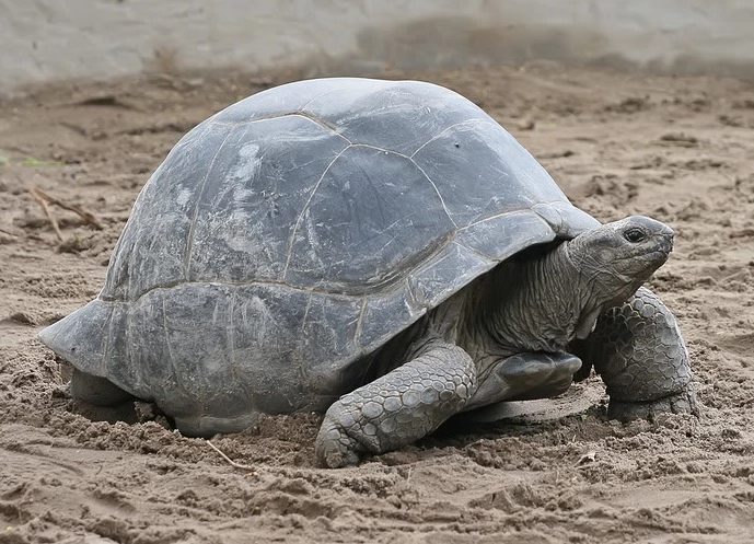 台灣文化體驗 台灣文化體驗
