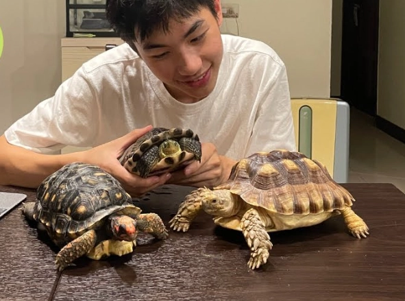 烏龜換水注意事項