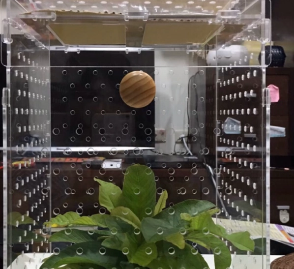 飼養箱環境設定