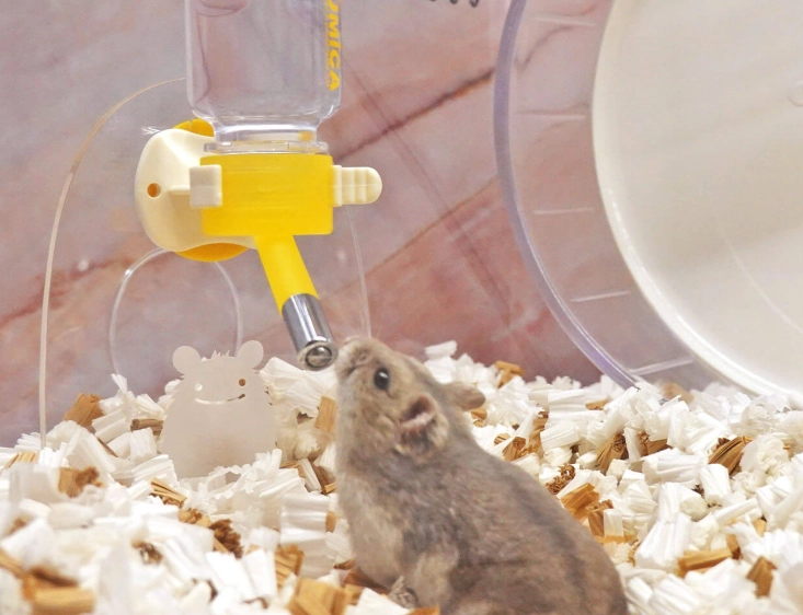 倉鼠夜行性 倉鼠夜行性