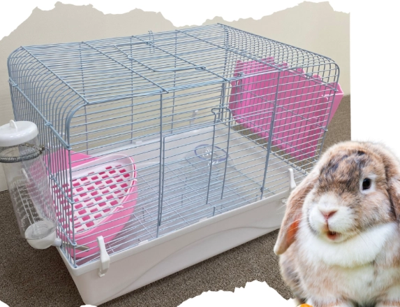 天竺鼠籠子尺寸