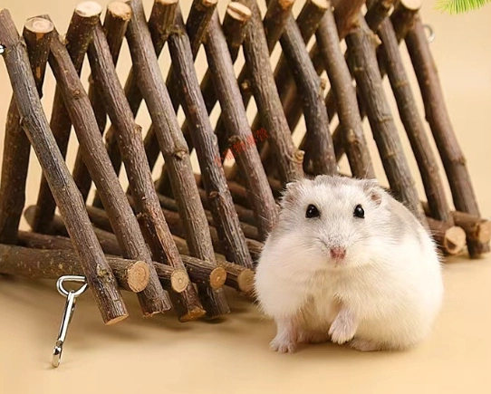 金絲熊籠子推薦