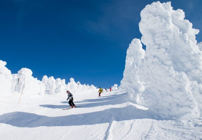 藏王滑雪