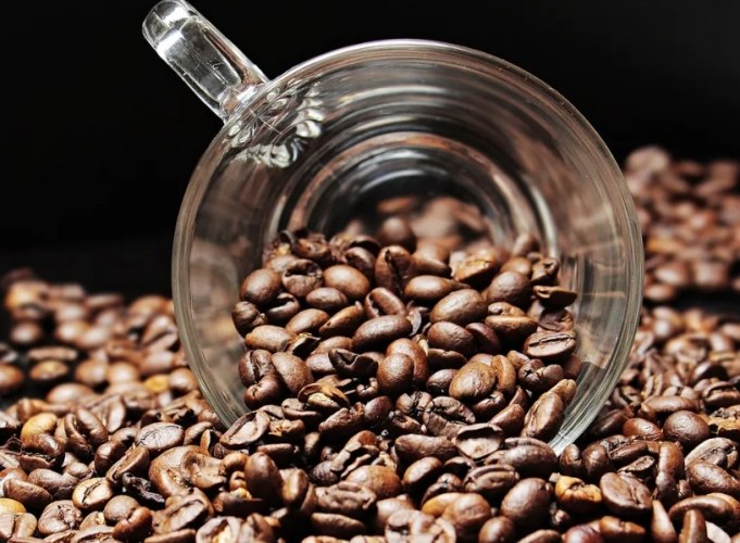 嘉義咖啡豆哪裡買