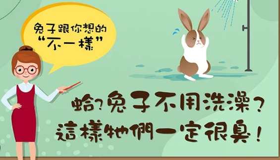 兔子洗澡