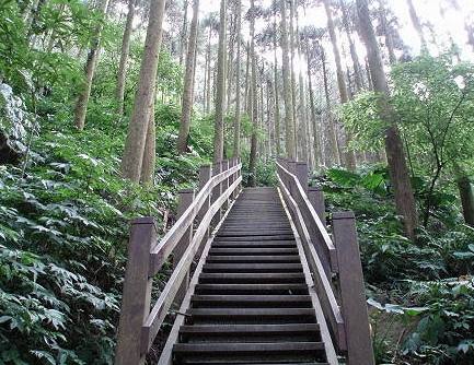 竹東打卡景點 竹東打卡景點