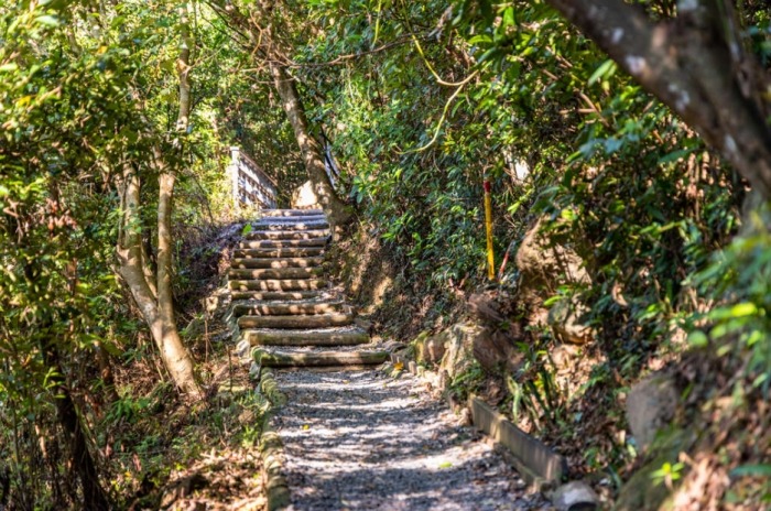 竹東打卡景點 竹東打卡景點