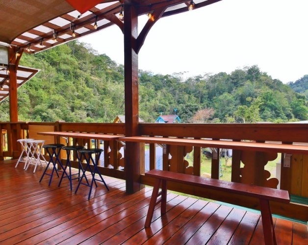 咖啡種植海拔 咖啡種植海拔