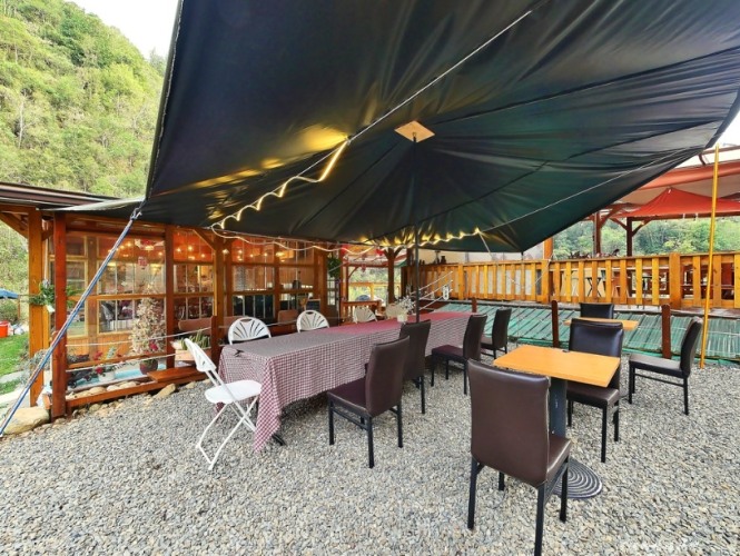 台灣高山咖啡 台灣高山咖啡