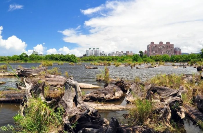 竹東美食 竹東美食